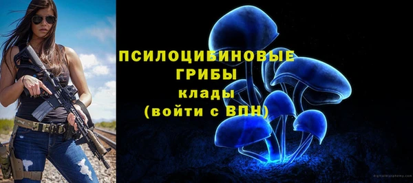 первитин Беломорск