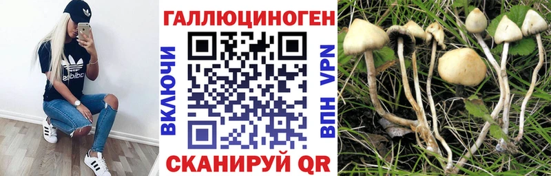 Галлюциногенные грибы Magic Shrooms  Вуктыл 