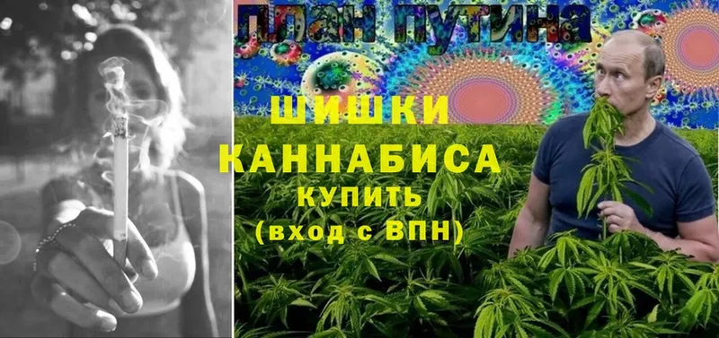 как найти   Вуктыл  Бошки Шишки THC 21% 